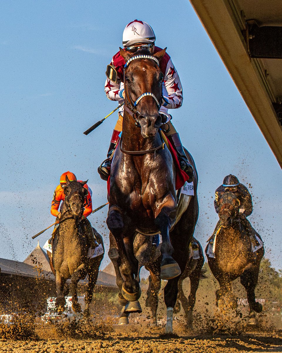 EclipseSports's tweet photo. MGSW THORPEDO ANNA headlines today's Grade 1 Cotillion on the #PADerby undercard @Parxracing for trainer Kenny McPeek. 

📸 Jason Moran https://t.co/D6IeKvbqsp