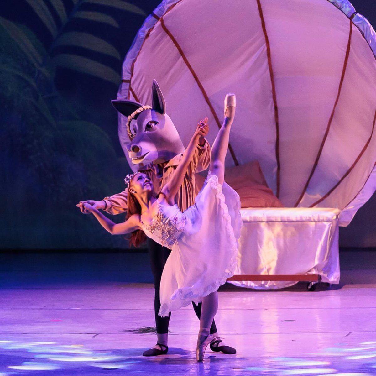 meredithbethzu1's tweet photo. Hoy quiero compartirles que los sueños se cumplen, y que he trabajado tanto para esto, el recorrido no ha sido fácil, firme contrato para San Diego Ballet Company, gracias a todas las personas que siempre me apoyaron y creyeron en mí ! #mexicana #aguascalientes #VivaMexico https://t.co/WBd5IvsgVy