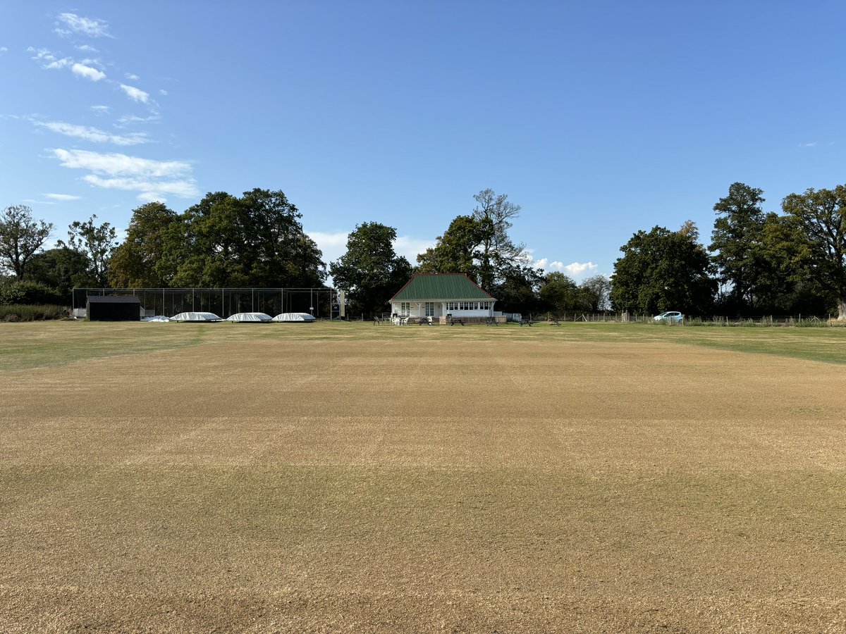 Jamie Foyster tweet media