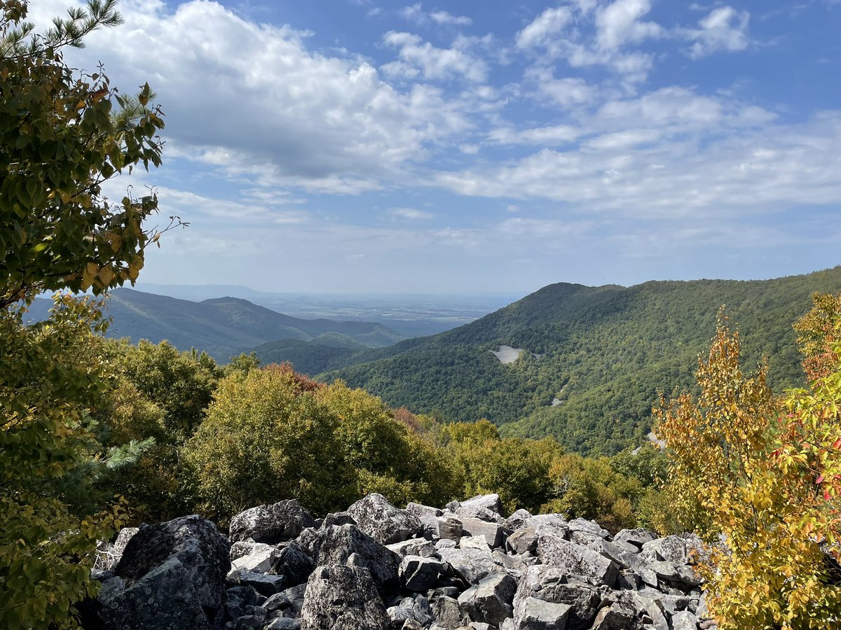 GeoffColmer's tweet image. Out for a gentle stroll!