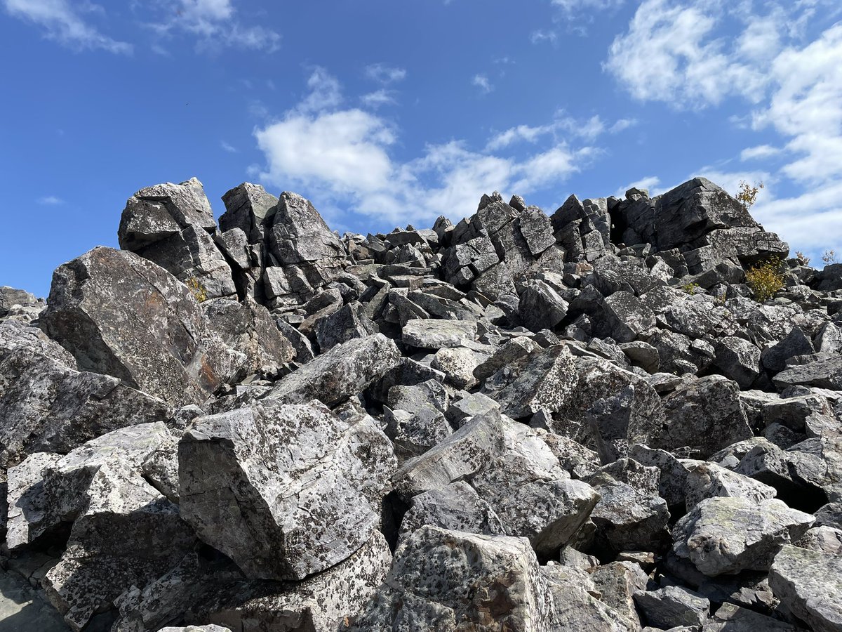 GeoffColmer's tweet image. Out for a gentle stroll!