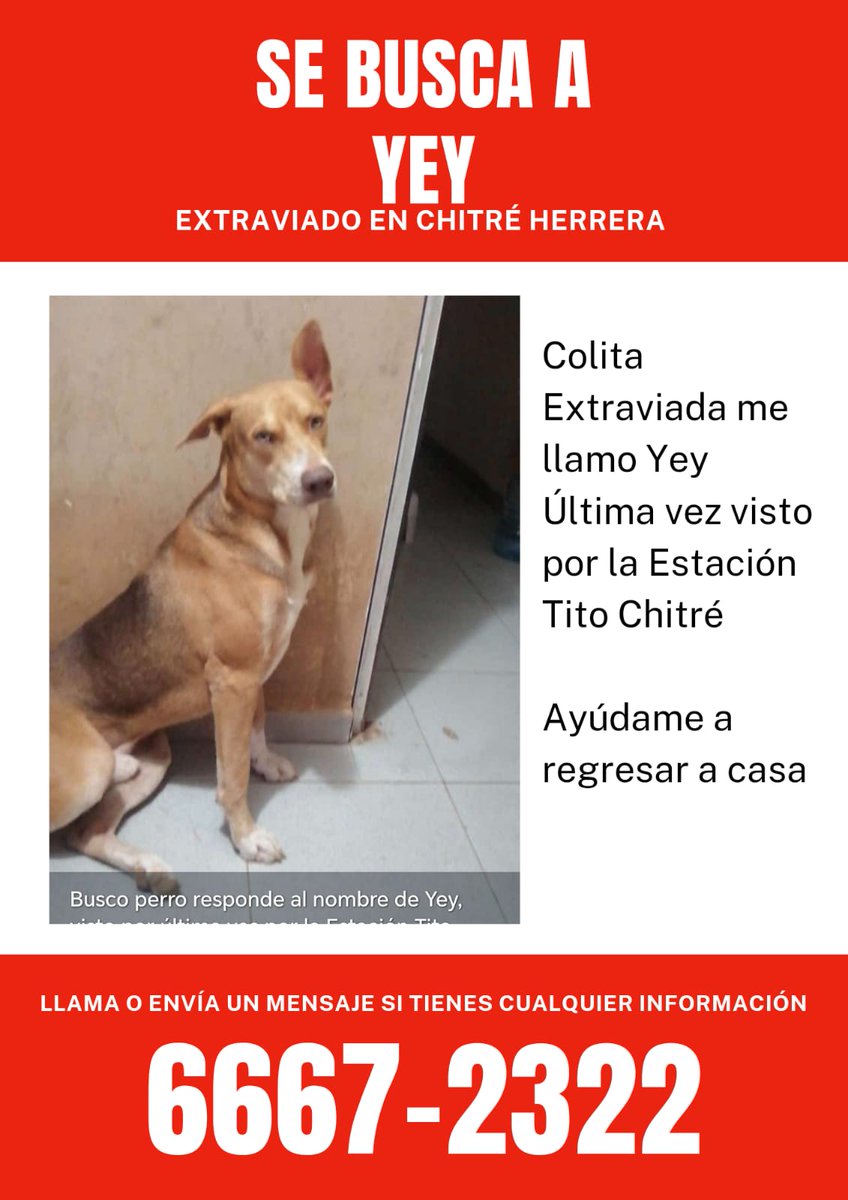 LaVillaLS (@lavillals) on Twitter photo 