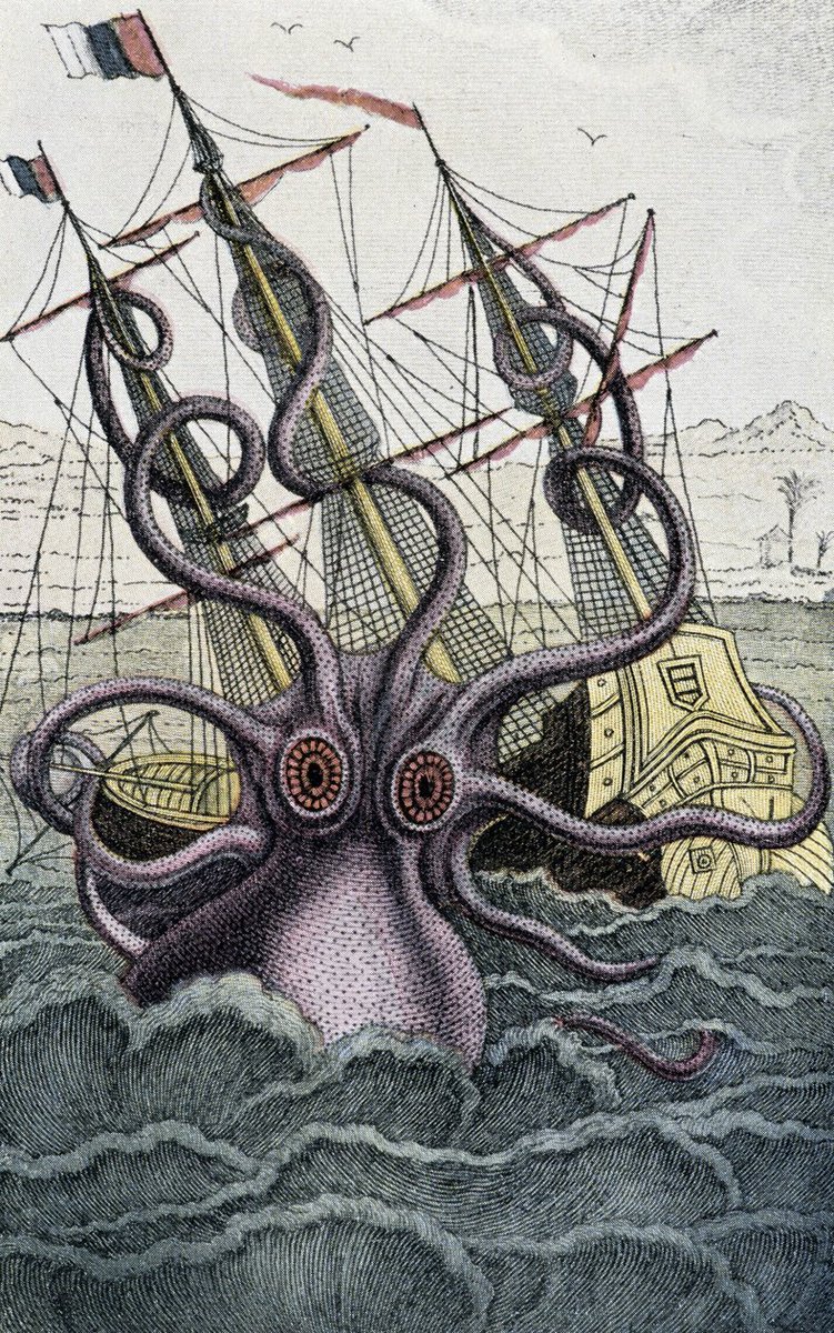WorldKnownledge's tweet photo. Thread : Tapis au fond de nos océans, le Kraken.

Ce thread m’a également pris beaucoup de temps, merci d’avance à ceux qui partageront ! 😁 https://t.co/jebMviwXyU