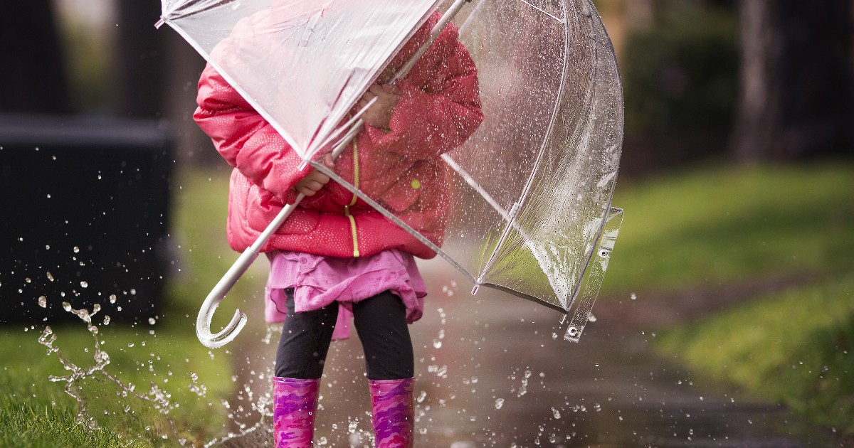 Deanna Rose Children's Farmstead tweet media