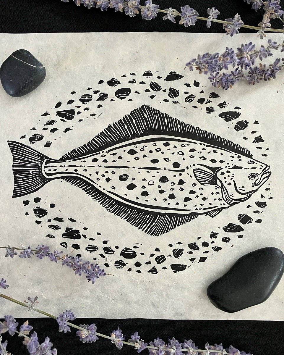 Rosemary Connelli tweet media