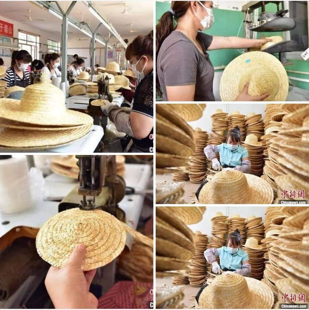 الصين بتصنع  حول 2 مليون طاقيه من  قش الأرز و تصديرها سنويا يبلغ 4.6 مليون دولار  وعندنا بمصر أكثر من ٢ مليون نخلة فى  الوادى الجديد غير سيوة والواحات البحرية والبحيرة وأسوان والأقصر طبعا اندثرت معها تلك الصناعة من جريد النخيل اتمنى فتح مراكز تدريب على تصنيع طواقى خوص الجريد