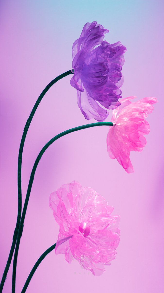 [Walang Biruan]

Walang Biruan: Concept Wallpaper  🫧  

#WalangBiruanByKAIA 
09.27.24
❣

#KAIA