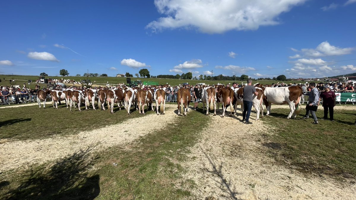 baptistemmt's tweet photo. La saison des comices est lancée dans le Doubs ! 350 vaches présentées pour celui ci, il y en aura plus de 5000 sur les 20 comices du département ! Une véritable institution ici ! https://t.co/RQ9sAlFqgv