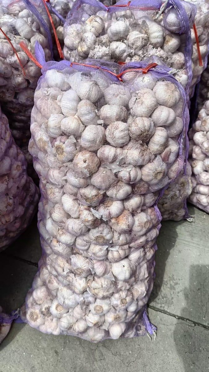 Lucknow Customs (Prev) Commissionerate tweet media