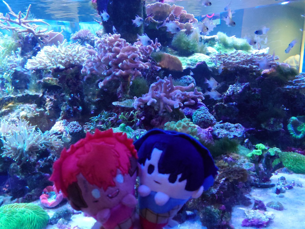KAISHI013's tweet photo. 獄ラと悪漢が特に好きですー！
ぬいの写真撮って時々コスする人です
スローペースで活動してるのでそれでも良いよって方がいらっしゃったら是非…！25↑の方だとより嬉しいですー！
#パラライ好きな人と繋がりたい
#パラライ好きさんと繋がりたい https://t.co/k5OxbvKkMz