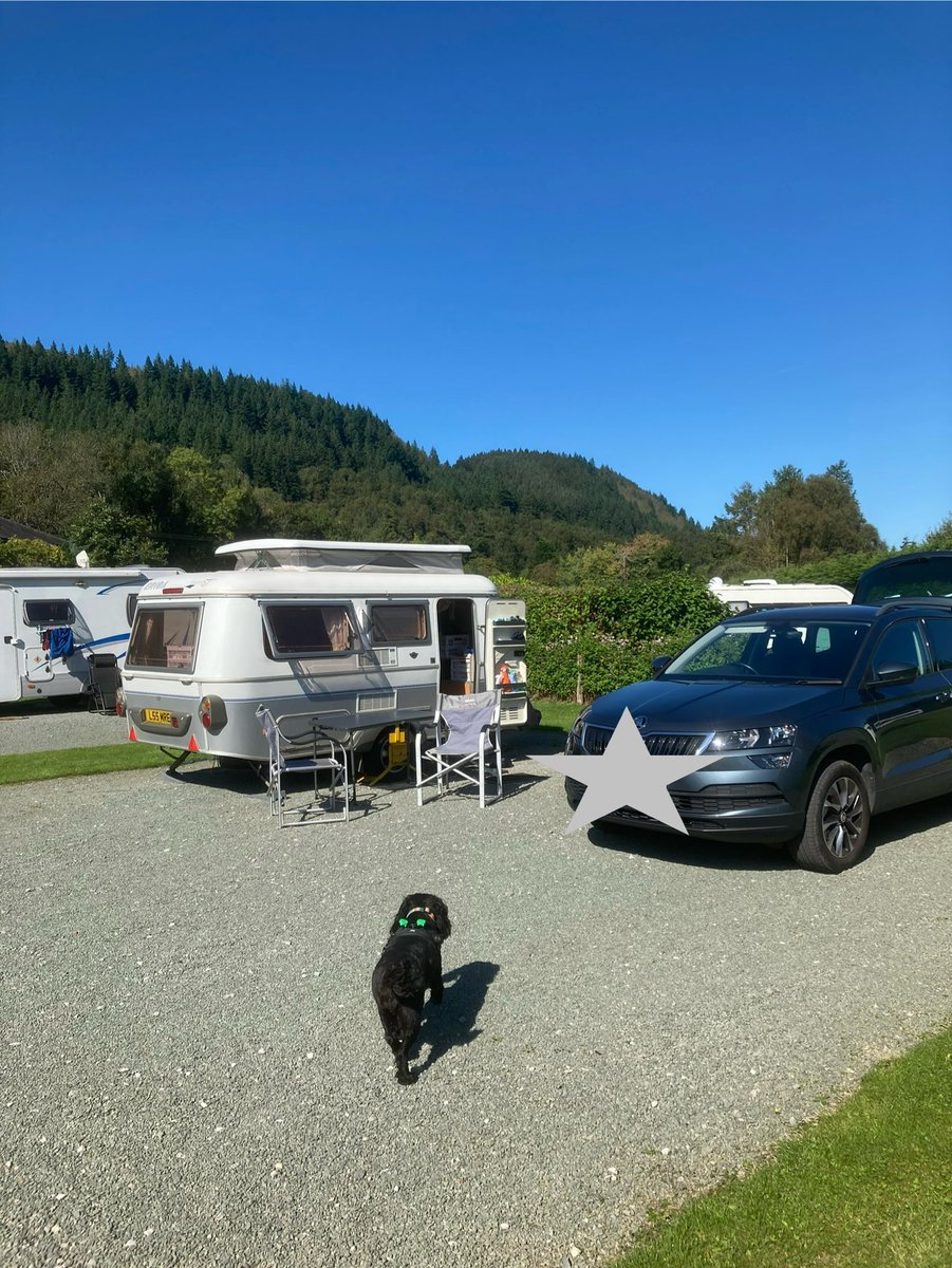 Lyn Eaton tweet media