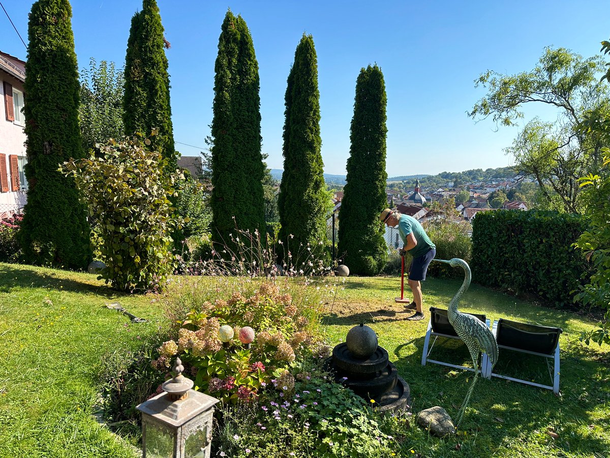 Derzeit versetzt mein Mann den Nuss-Strauch 😃☀️guter Mann