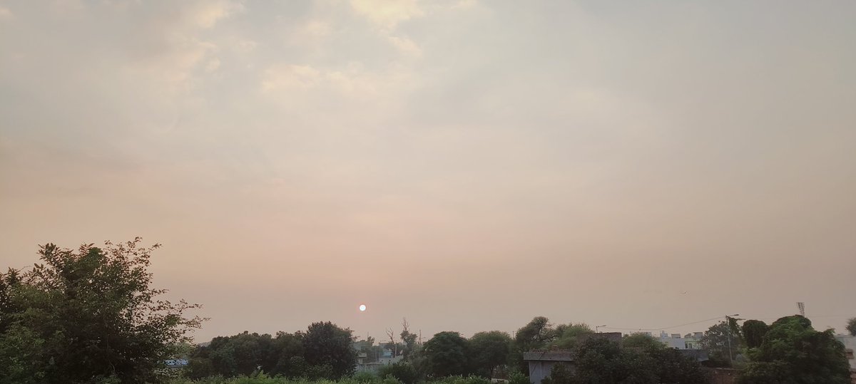 Kataksh__'s tweet photo. Evening Click by Me ☺️
#EveningVibes #EveningViews #EveningClick #EveningPhotography #Photography #photographylovers #SunsetVibes #sunset #sunsetphotography https://t.co/KHNh9n37g4