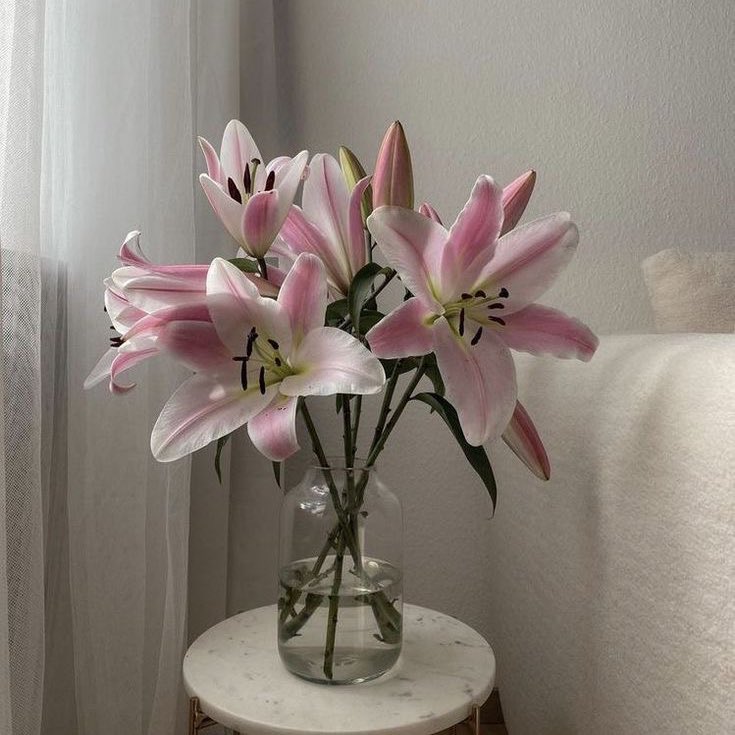 prtygal777's tweet photo. Lilies https://t.co/w1ZRzoPYb7
