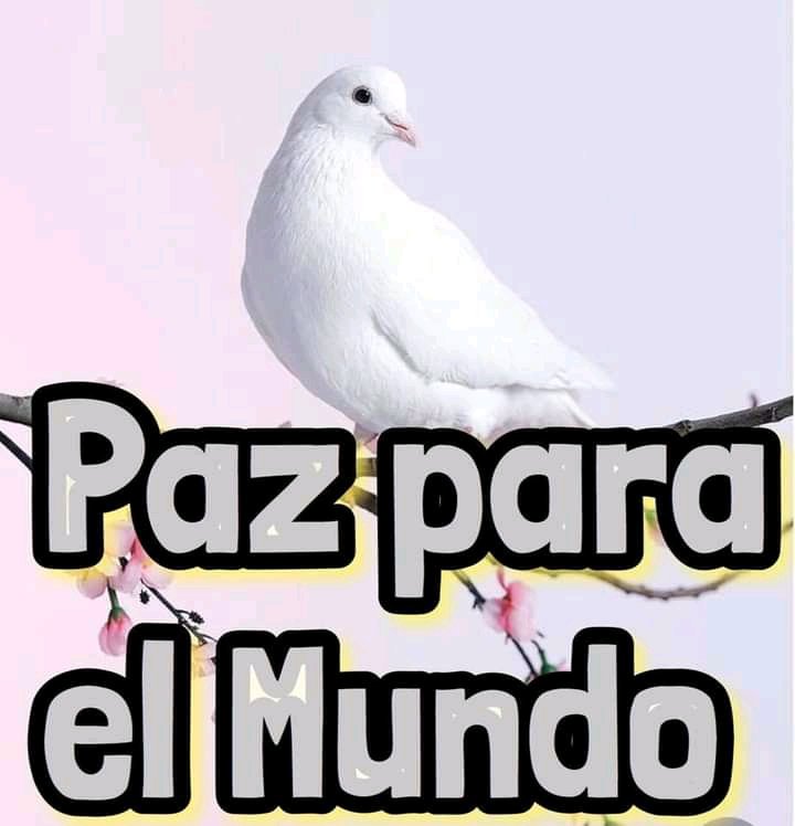 #JuntosPorLaPaz, la paz es necesaria para alcanzar la soberania de los pueblos, marchamos juntos por la paz en el mundo <a href="/LogVanguardia/">Logística de Vanguardia</a>