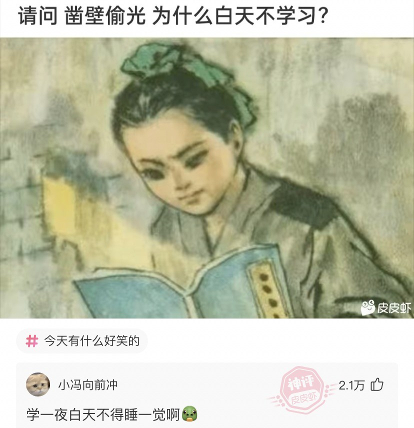 雲鳩 tweet media