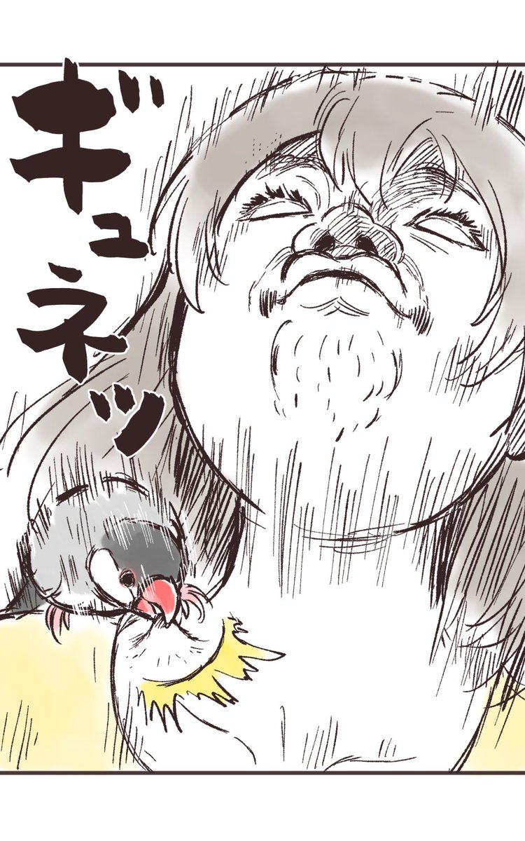 文鳥あるある④

#漫画が読めるハッシュタグ 