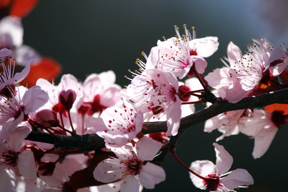 💐 Bienvenida Primavera 💐
Llegó uno de los meses más lindo del año. Comienza a aparecer el calor, los días se alargan y es el momento ideal para disfrutar actividades al aire libre 🌼🌷☀️😃.