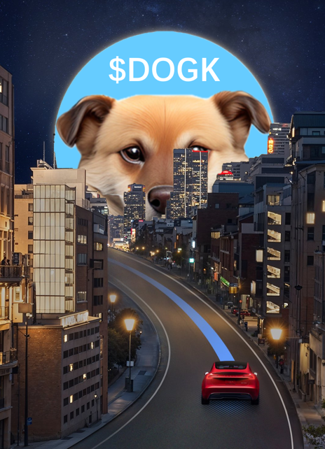 1000X. Yes, I can.   $DOGK #DOGK