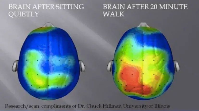 GreenSchoolRuns's tweet photo. 'Walking with our children to school, even just part of the way, has a positive impact on their brain function. It prepares them for a day of learning and enhances their cognitive abilities. π§ πΆββοΈ #ActiveSchoolRun #BrainBoost #ActiveSchoolRunNW3 #AirQuality #AirPollution https://t.co/nTHcyM3QfA