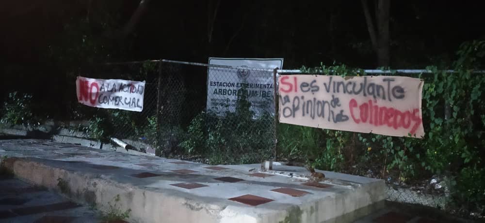 Plinio Angulo I tweet media