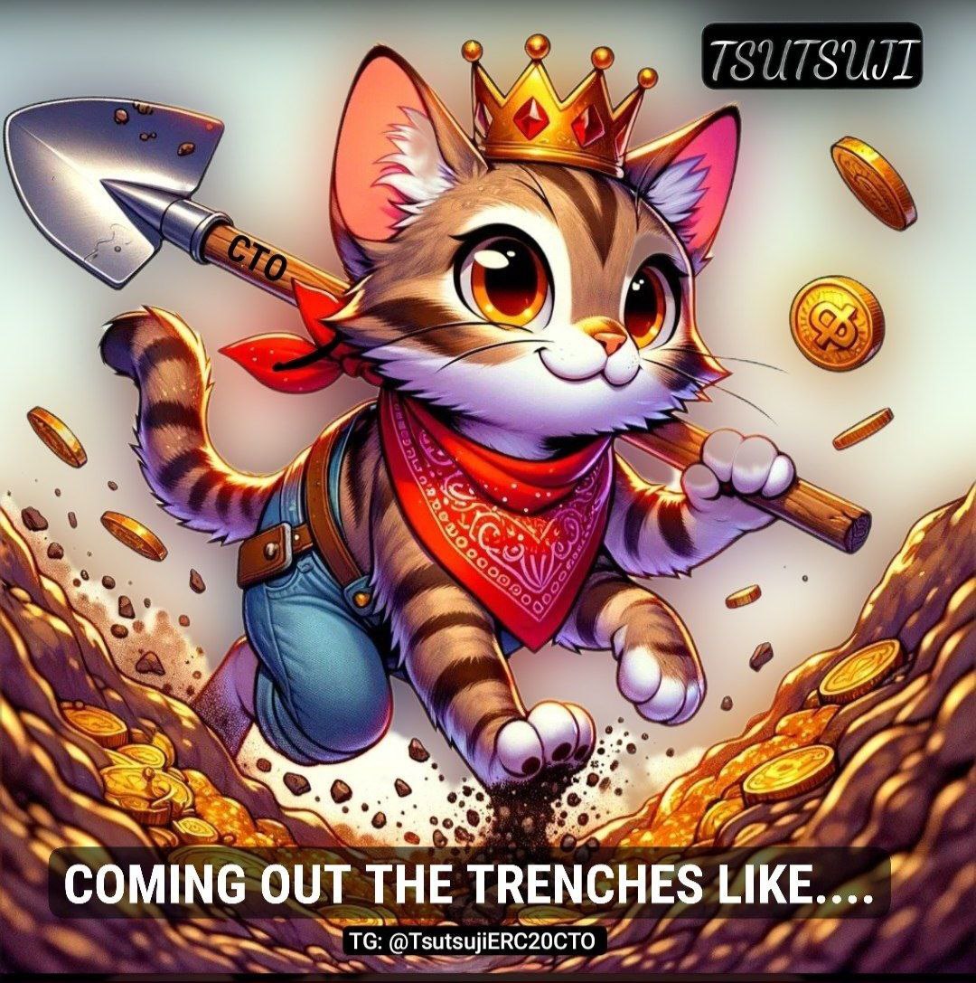 $TSUJI cto coming out the trenches. #neiroethcto #ginnanctoeth #OnigiriCat_ERC