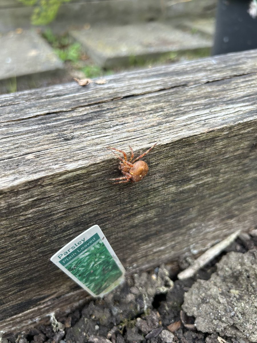 Róisín Power tweet media