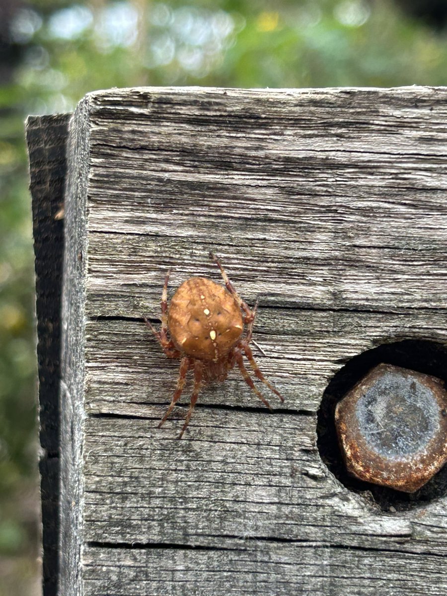 Róisín Power tweet media