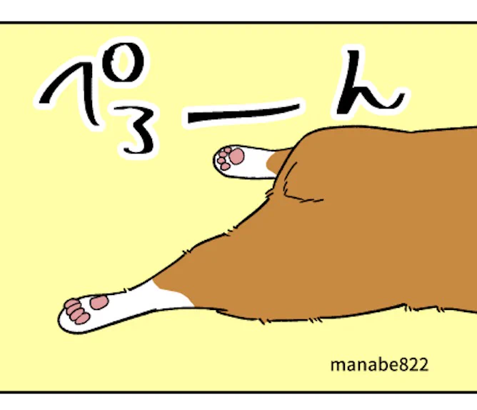 コーギーのけつにダイブする 1/2 