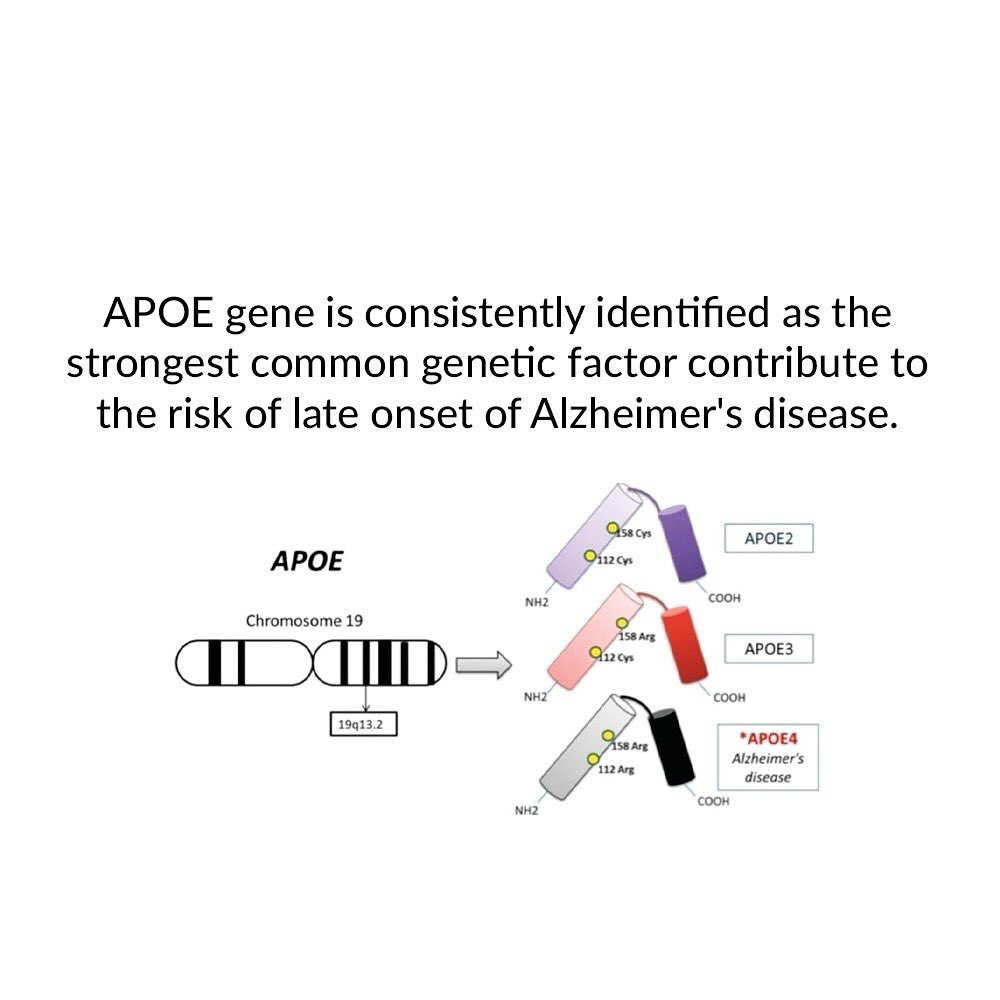 MibiomeT's tweet photo. #AlzheimersDay #alzheimers #alzheimersawareness #alzheimersprevention #wholeexomesequencing #exomesequencing #exomesequence #exome #genomicsforall #genome #genomevariants #genomicsequencing #genomicscience https://t.co/wMGLXnwKBF