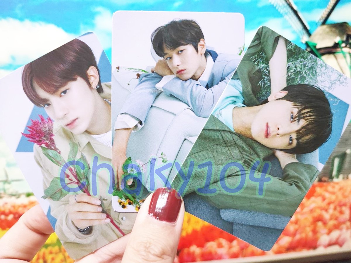 MyChakiya's tweet photo. ขาย พร้อมส่ง ♥ SALE !!! ♥ การ์ด THE BOYZ - THE STAR เซทพิเศษ 11 ใบ พร้อมลายเซ็นต์ด้านหลัง [มีเก็บเงินปลายทาง] ในราคา ฿150 ใน #ShopeeTH ตอนนี้! https://t.co/wJmeqRl9UD #ตลาดนัดtheboyz #ตลาดนัดหนุ่มดอกไม้ #TBZ #THEBOYZ #chaky104 https://t.co/nUJS9pPLN1