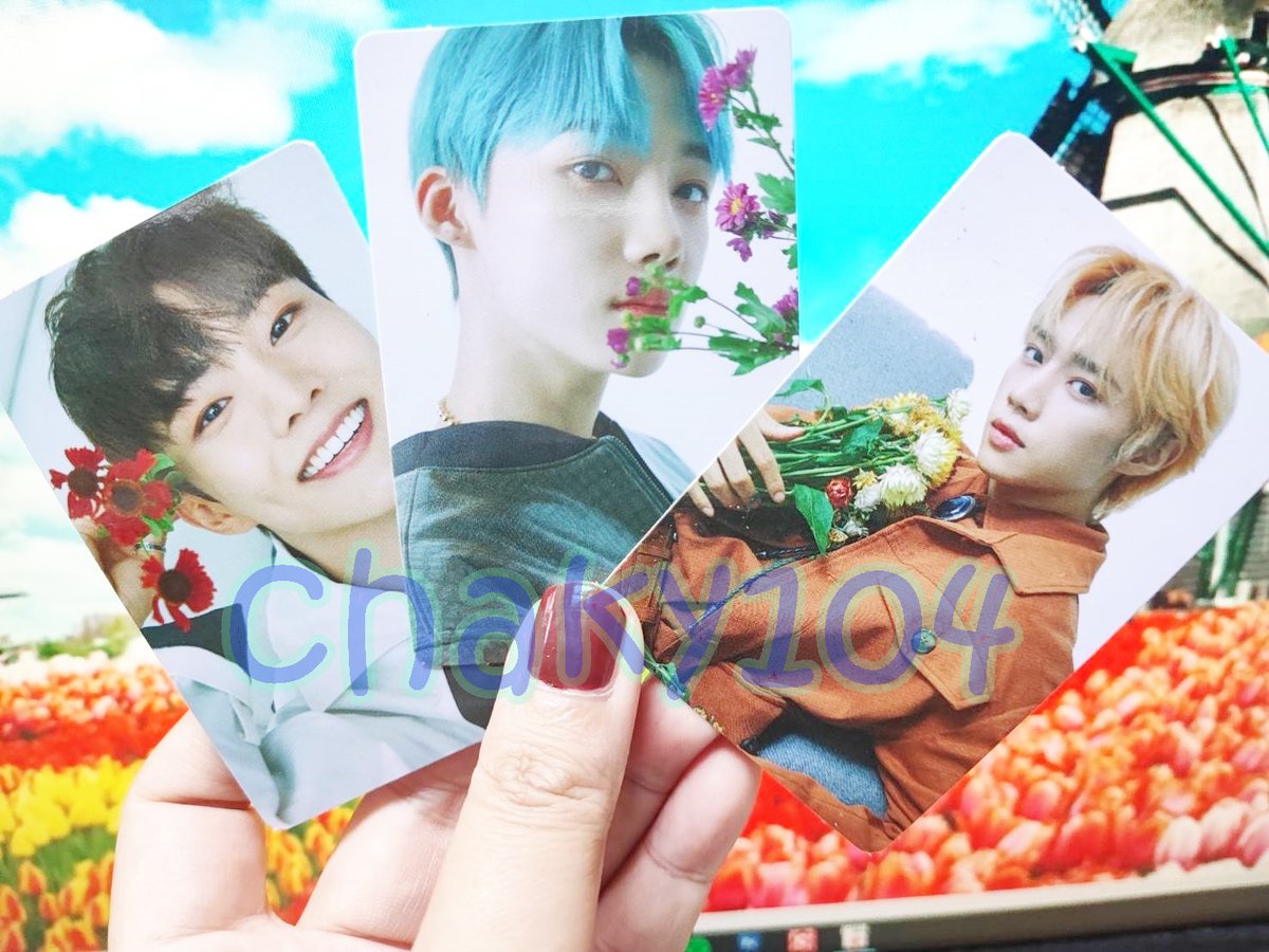 MyChakiya's tweet photo. ขาย พร้อมส่ง ♥ SALE !!! ♥ การ์ด THE BOYZ - THE STAR เซทพิเศษ 11 ใบ พร้อมลายเซ็นต์ด้านหลัง [มีเก็บเงินปลายทาง] ในราคา ฿150 ใน #ShopeeTH ตอนนี้! https://t.co/wJmeqRl9UD #ตลาดนัดtheboyz #ตลาดนัดหนุ่มดอกไม้ #TBZ #THEBOYZ #chaky104 https://t.co/nUJS9pPLN1