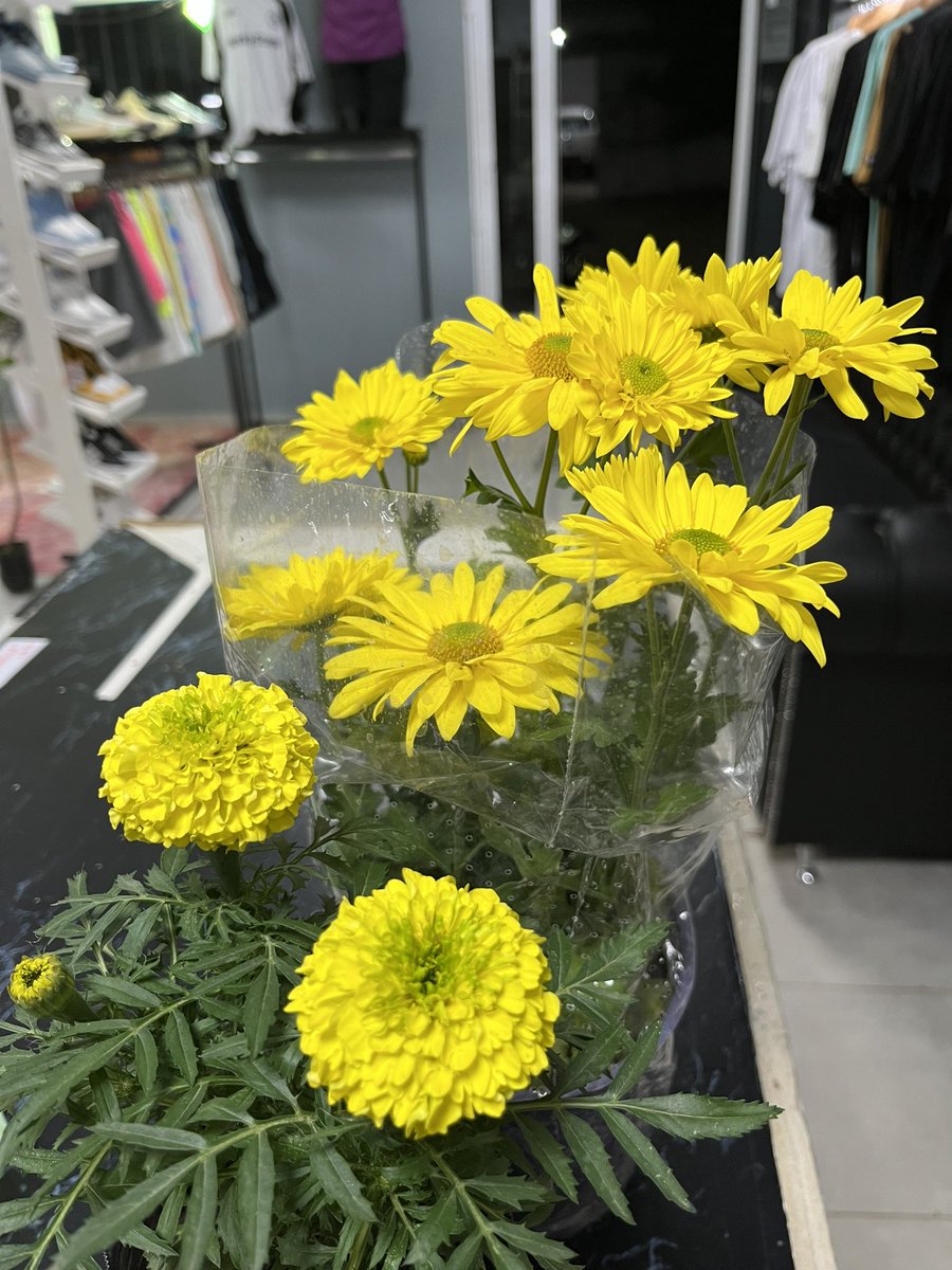 BelnBastiani's tweet photo. 21 de septiembre💛 
Y yo fui feliz con mis flores amarillas🌼 https://t.co/FRsCJbcZwX
