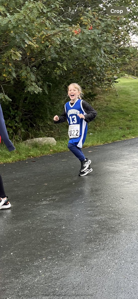 T. Reardon tweet media