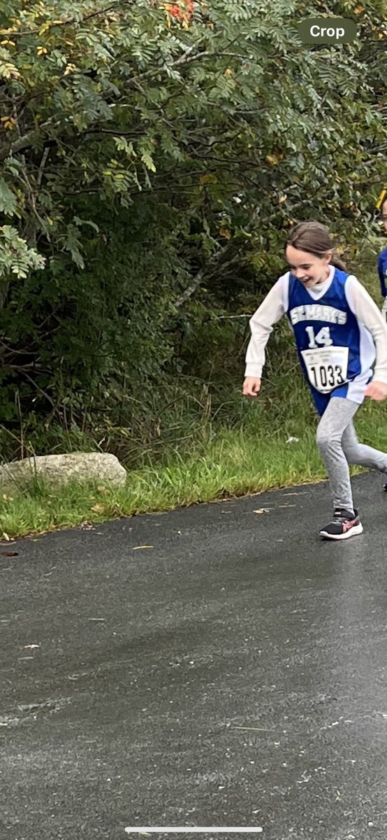 T. Reardon tweet media