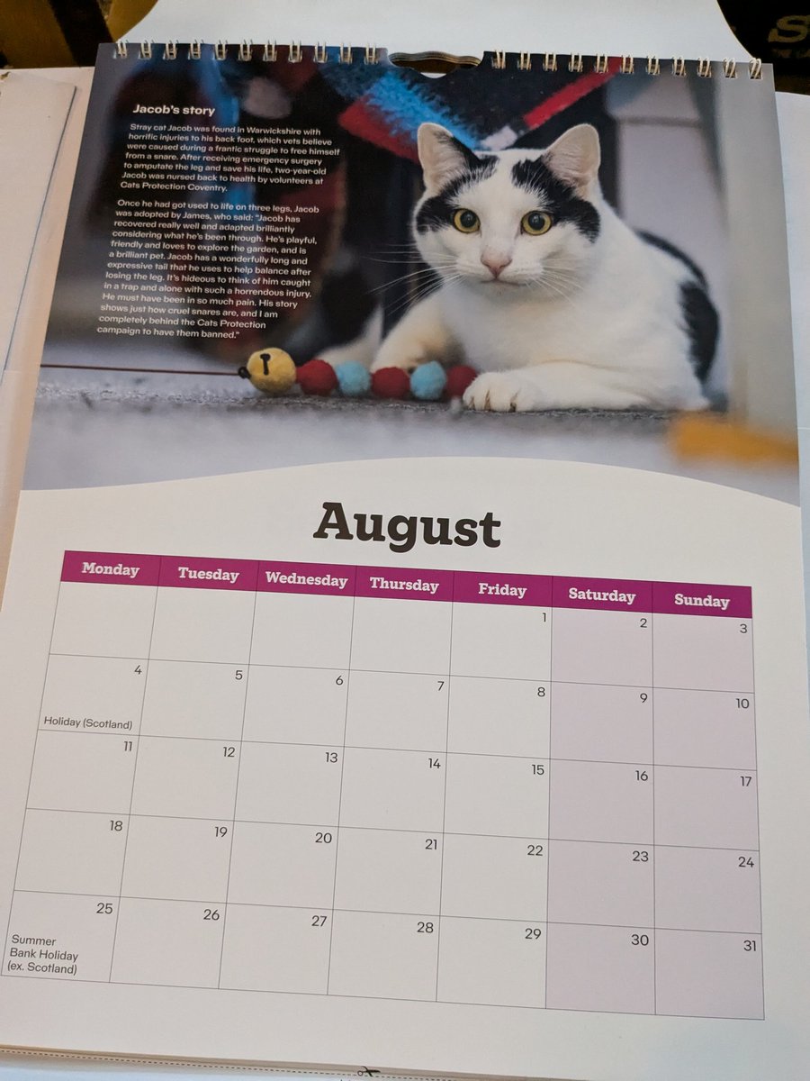 James C. Taylor (@tayloredchatter) on Twitter photo Jacob features in <a href="/CatsProtection/">Cats Protection</a>'s 2025 calendar - he's Mr August! Now you can enjoy his fluffy face looking down from your wall! Available here: catsprotectionshop.co.uk/acatalog/Cats-… Jacob features in <a href="/CatsProtection/">Cats Protection</a>'s 2025 calendar - he's Mr August! Now you can enjoy his fluffy face looking down from your wall! Available here: catsprotectionshop.co.uk/acatalog/Cats-…