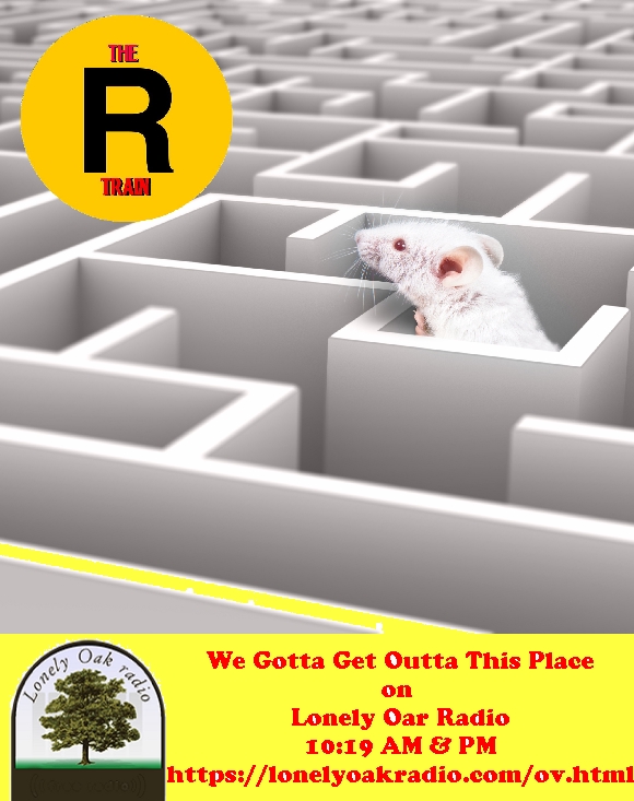 TheRTrainBand's tweet photo. On Saturday, Sep 21, at 10:19 AM, and at 10:19 PM (Eastern Time), we play 'We Gotta Get Out Of This Place' by The R Train Band @TheRTrainBand.listen at https://t.co/qTJ92s6od9 / #Indieshuffle Classics show #NewMusic #NewMusicAlert https://t.co/7ZMdjK4Tdw