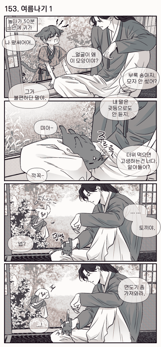 [내스급] 고양이 육아는 처음이세요? [34편] 