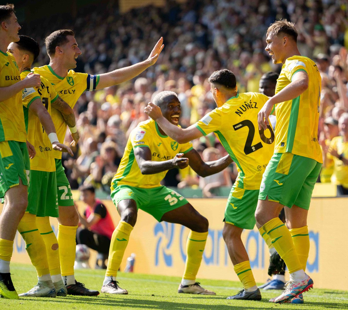 NorwichCityFC's tweet image. Enjoy the rest of your Saturday, Yellows 💛
