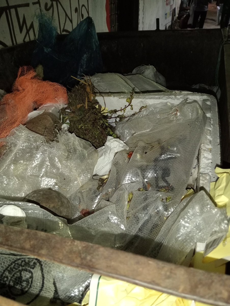 NuruddinDev's tweet photo. @cleanify_vet 
#CleanUpChallege
#VeBetterDAO 

My daily cleaning work... https://t.co/j91hwLBfqF