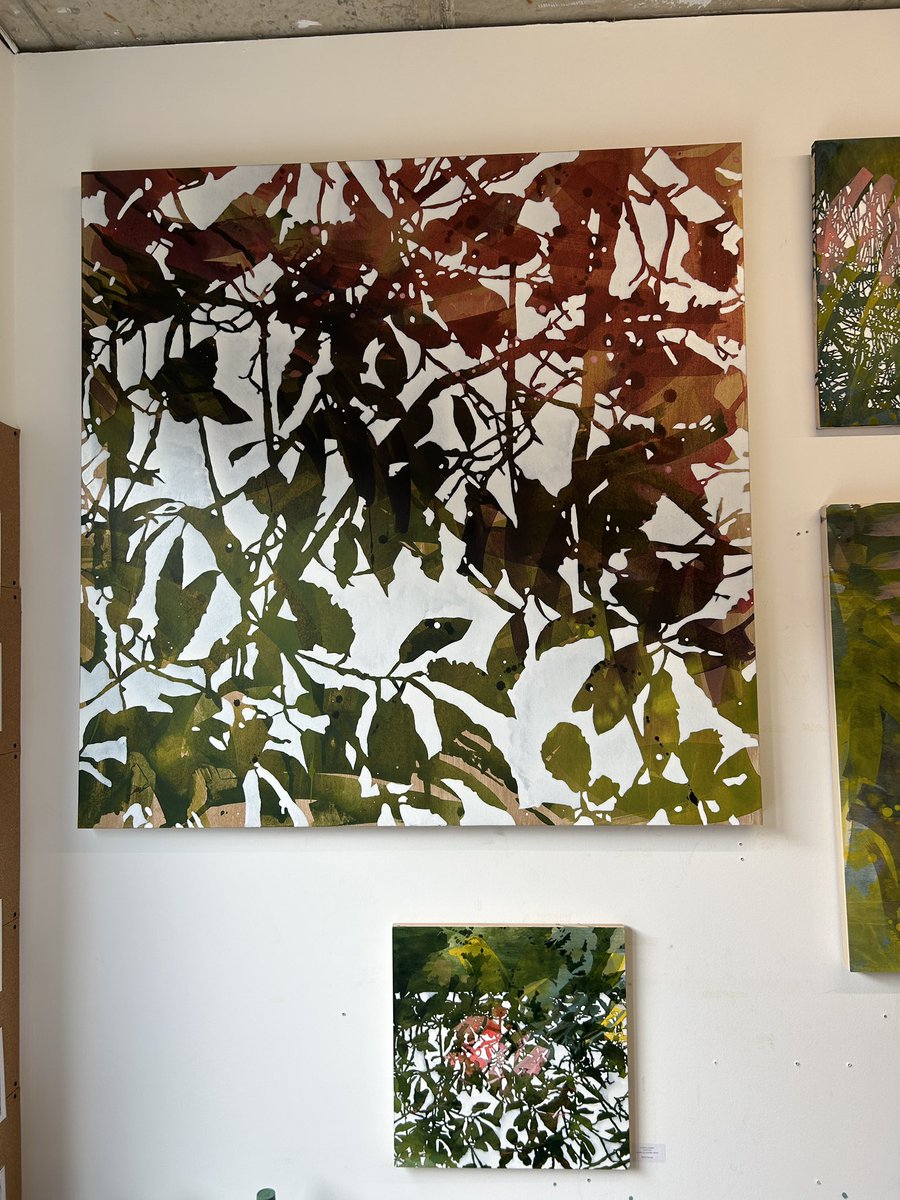 Carolina Delgado tweet media