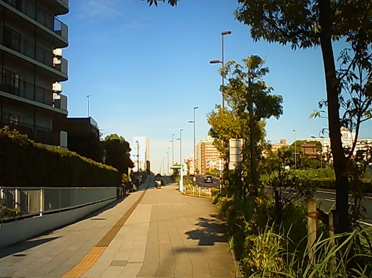 toro0e0's tweet image. もう9月も後半今日も暑いすぎた
明日も小さいスケッチブックと
小さいカメラもって
どこに行こうかな
#トイカメラ #トイデジカメ #PIENIFLEX