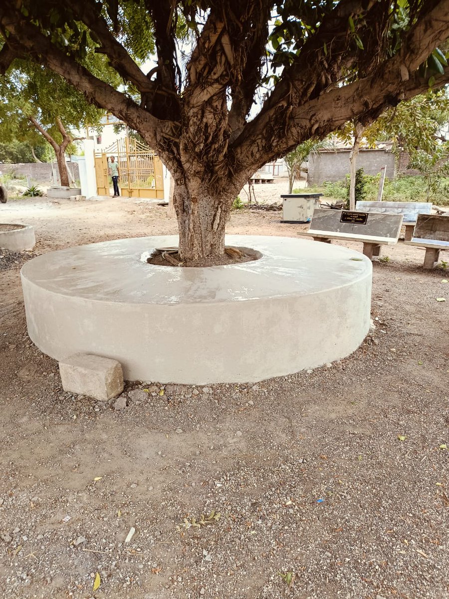 Devbhumi Dwarka Forest Division (Social Forestry) tweet media