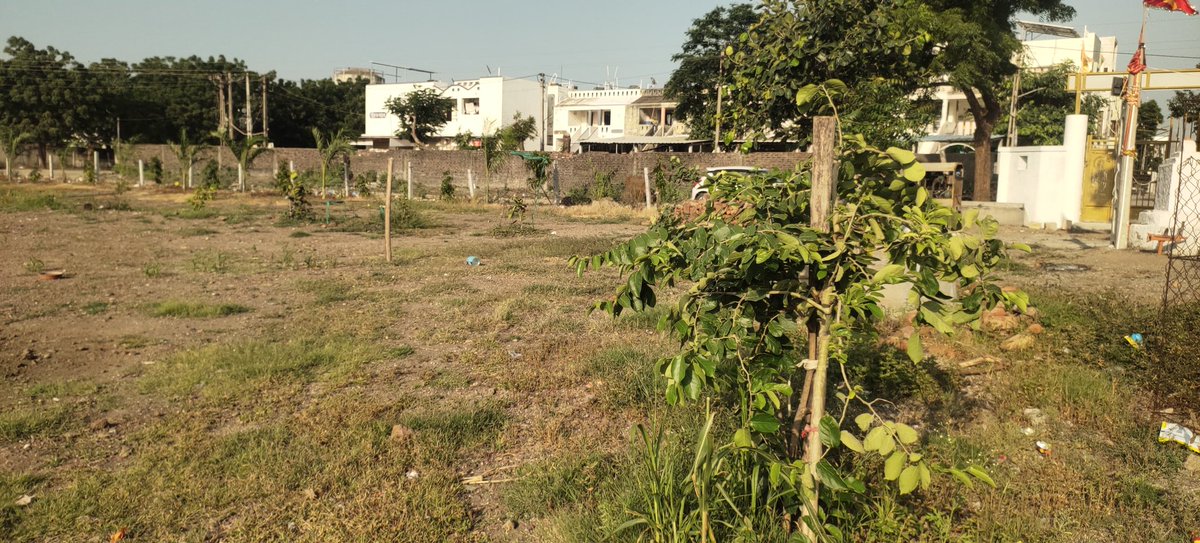 Devbhumi Dwarka Forest Division (Social Forestry) tweet media