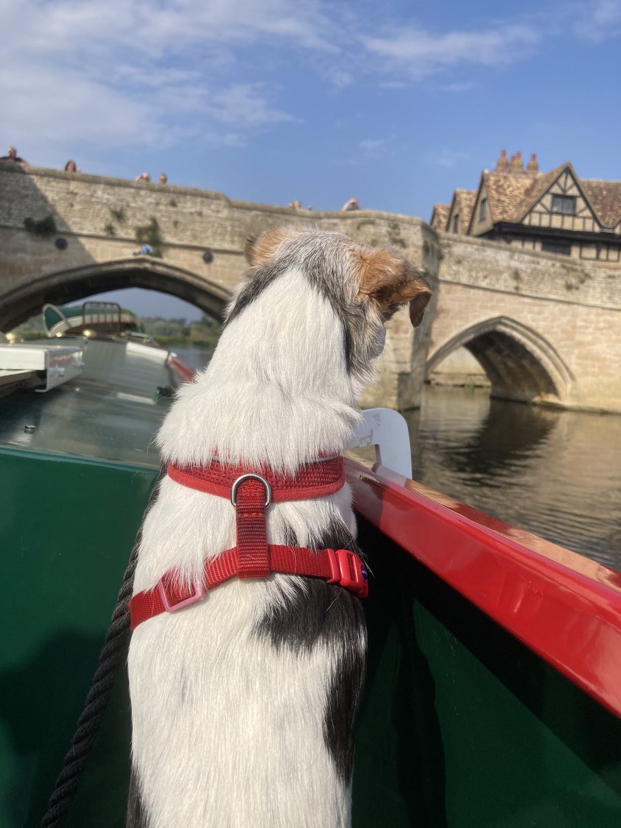 thedigbysafloat's tweet photo. Short trip from Hemingford Grey to St Ives today - no rush https://t.co/YBFJrWQPS9