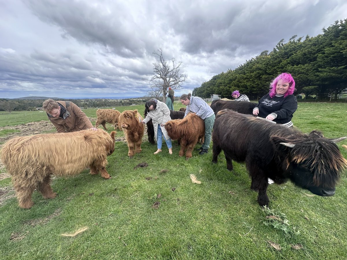TrashPrincessBB's tweet photo. Cows https://t.co/zANRrmV9dx