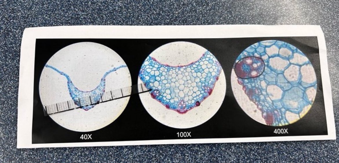 Jane Masters tweet media