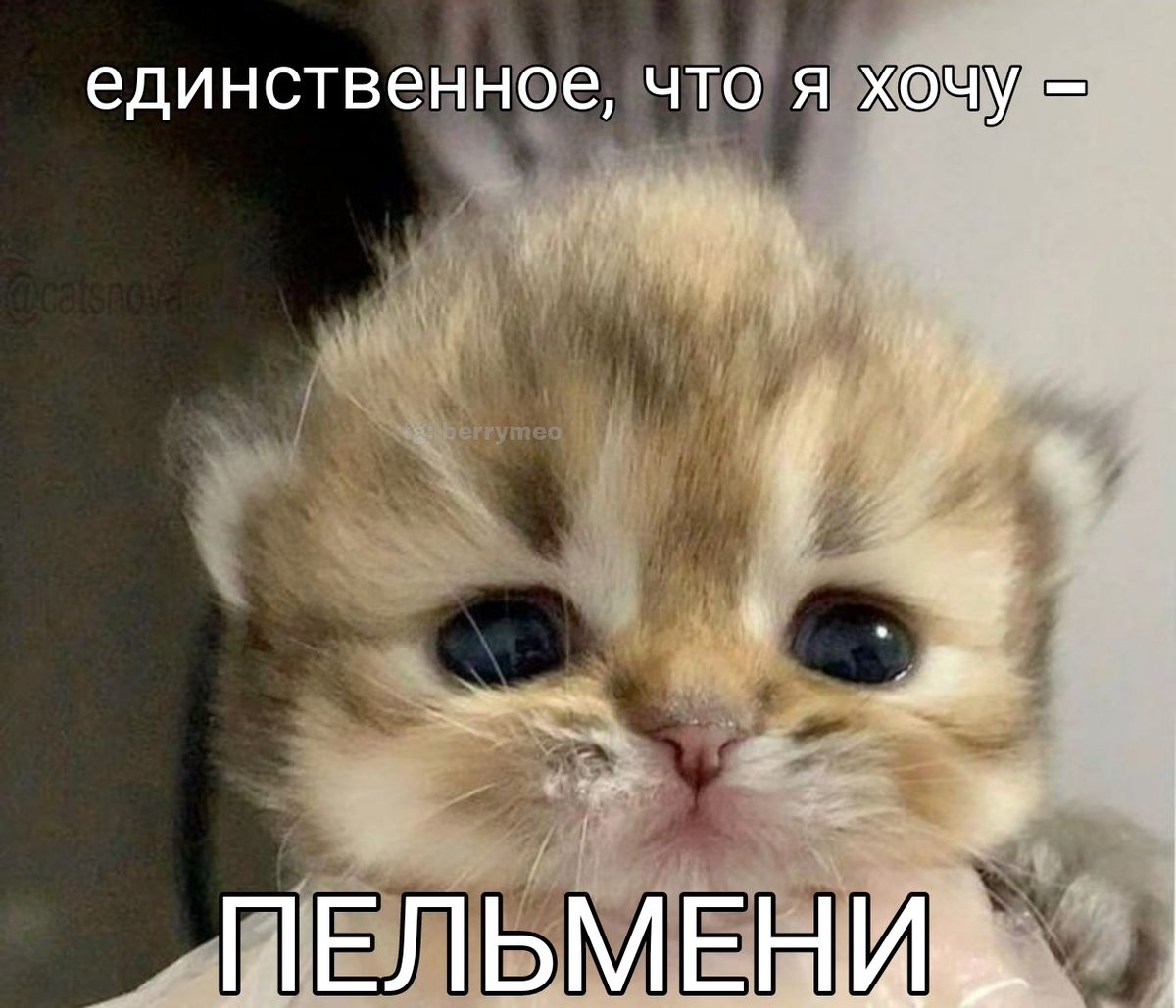 чипс🎴 tweet media