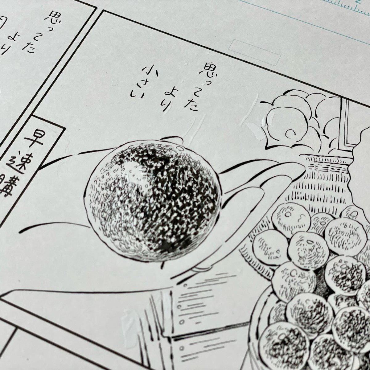 今回パッションフルーツを描くにあたり、新機軸のマスキングインクを使ってみました。他のブランドのはいくつか使ったことがあるのですが、これはGペンにつけて使えて良かったです。消しゴムをかけたらマスキング部分の上のインクが乾いていなくてビッとなったのでそこだけ注意です! 