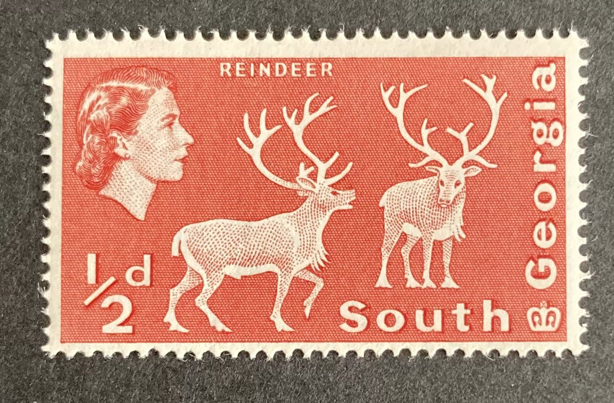 deadbirdguy's tweet photo. @Philatelovely Spectacular stamps from South Georgia https://t.co/Gi6v1cBOzw